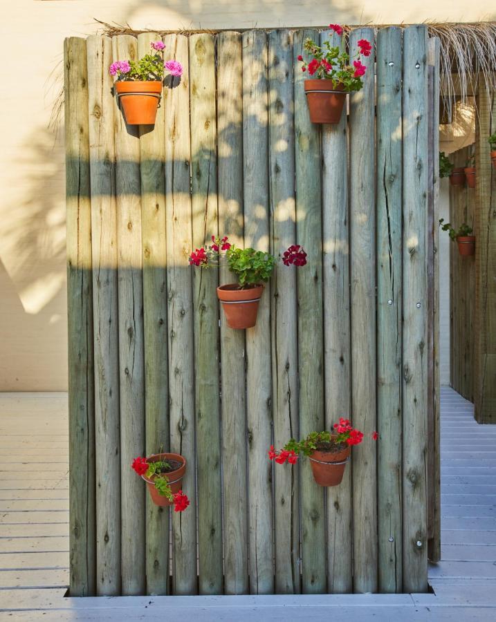 Posada Tamarindo José Ignacio Exterior foto